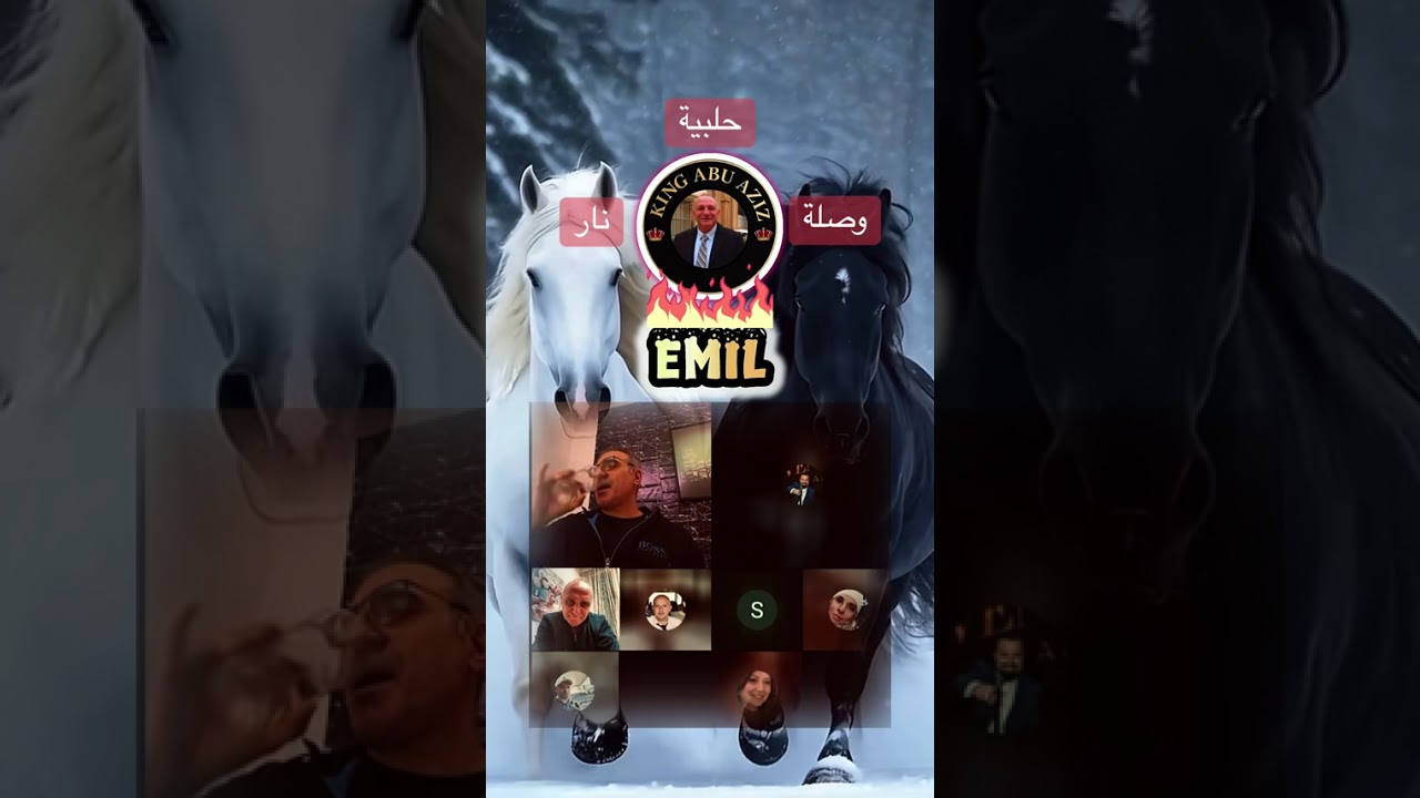 وصلة حلبية نار - ايميل