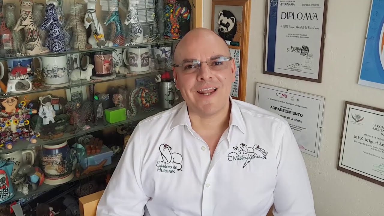 30 Aniversario ¡FELICIDADES CRIADERO DE HURONES!