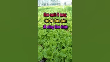 Làm sạch ngũ tạng cực kỳ đơn giản, ai cũng làm được. #shorts #cuocsong #@duocsihuu