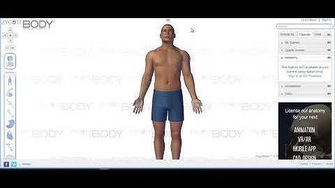 Zygote Body Virtual Tour for A&P