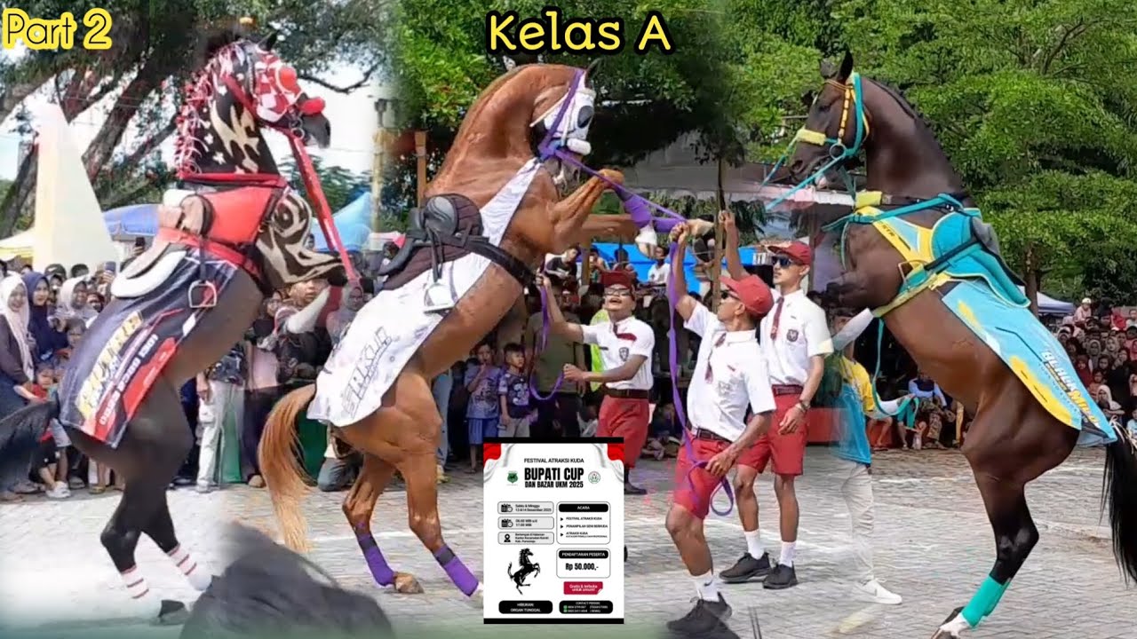 SPESIAL PERFORM ANAK2 SD ATRAKSI KUDA JINGKRAK BUPATI CUP PURWOREJO