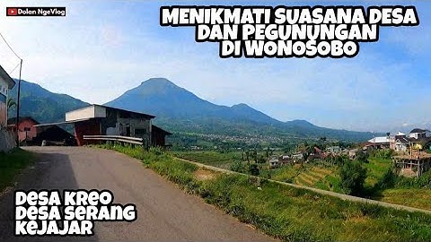 Menikmati Suasana Desa Suasana Alam Pegunungan Wonosobo, Jalan Ke Kebun Teh Panama || #DolanNgeVlog