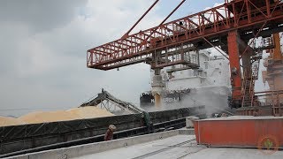 Farmer on Chinese tariffs: "That's what hurts"
