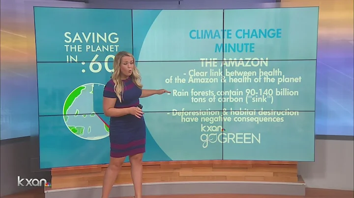 How the Amazon influences your  health