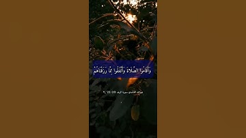سورة الرعد الاية 20-22
