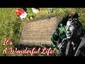 Grave of James Stewart & IT'S A WONDERFUL LIFE Martini House