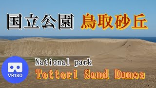 【VR180】国立公園「鳥取砂丘」~Tottori Sand Dunes~【National Park】