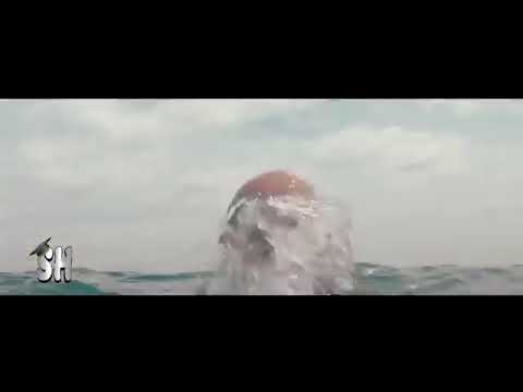 حلات وتس على اغنيه شقلطون في بحر بيره