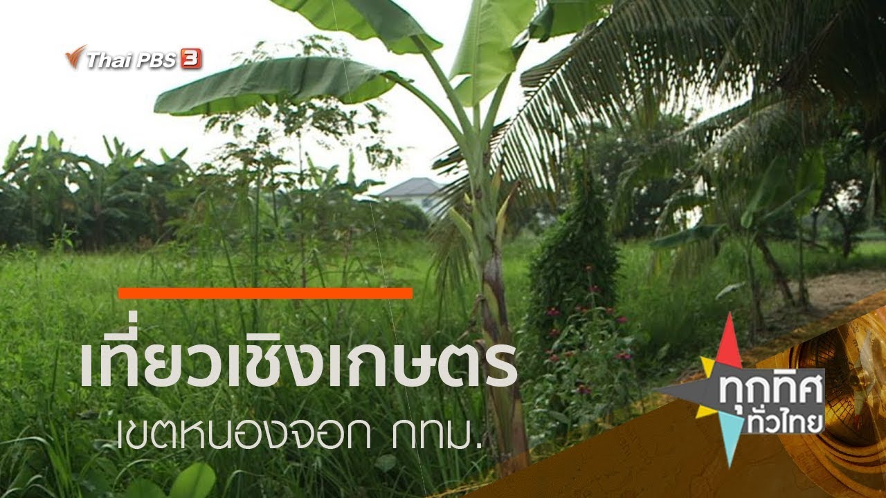 เที่ยวเชิงเกษตร เขตหนองจอก กทม. : ชุมชนทั่วไทย (9 ต.ค. 62)