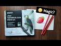 Trying new brustro watercolor pencils   tutorial