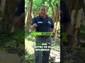 ¡Descubre cómo los agricultores manejan sus cultivos con microorganismos!