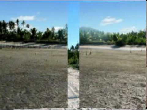 Roxas, Palawan - A perfect beachfront for retirement 4 SALE - www.palawanprope...