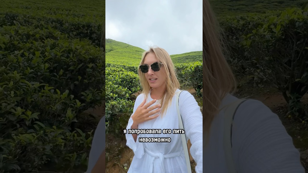 Настоящий цейлонский чай на Шри-Ланке #шриланка #цейлон #чай