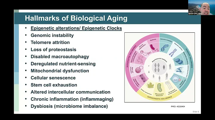 The Science of Aging: Epigenetics and Other Hallmarks of Aging