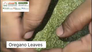 Dry Oregano Leaves