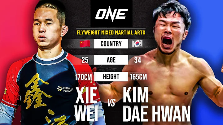 SHAOLIN POWER  Xie Wei vs. Dae Hwan Kim | Full Fig...