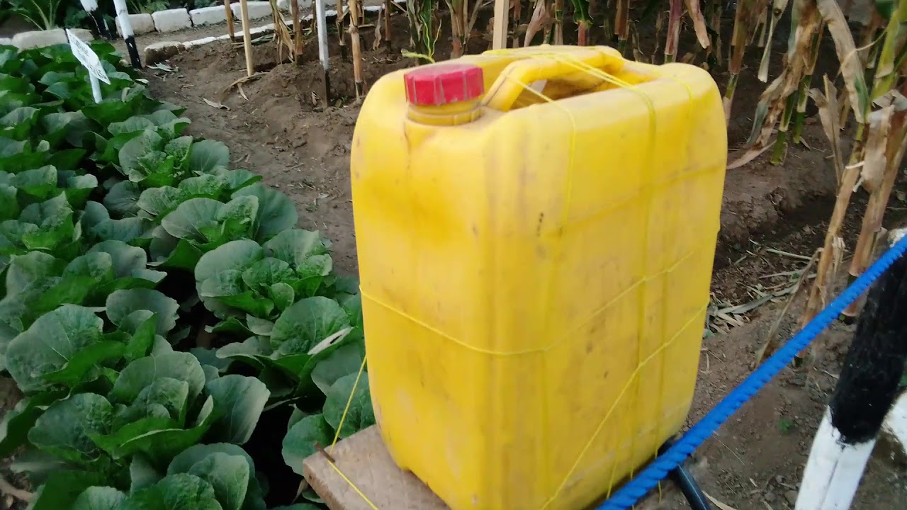 KILIMO CHA UMWAGILIAJI :Madumu na mipira