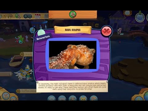 Where to Find ALL NOCTURNAL ANIMALS Locations | Animal Jam - YouTube
