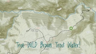 Dry Fly Fishing - Wild Trout Water on the North Fork St. Vrain River, Colorado Sep 30, 2019