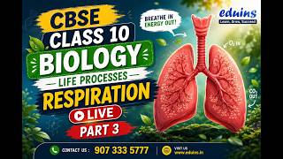 Life Processes: Respiration (Part 3) | Complete Explanation | Biology | Class 10 | CBSE #liveclass