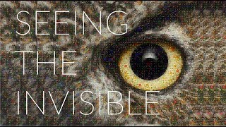 TRAILER - BioCity Turku Symposium 2018 - SEEING THE INVISIBLE!