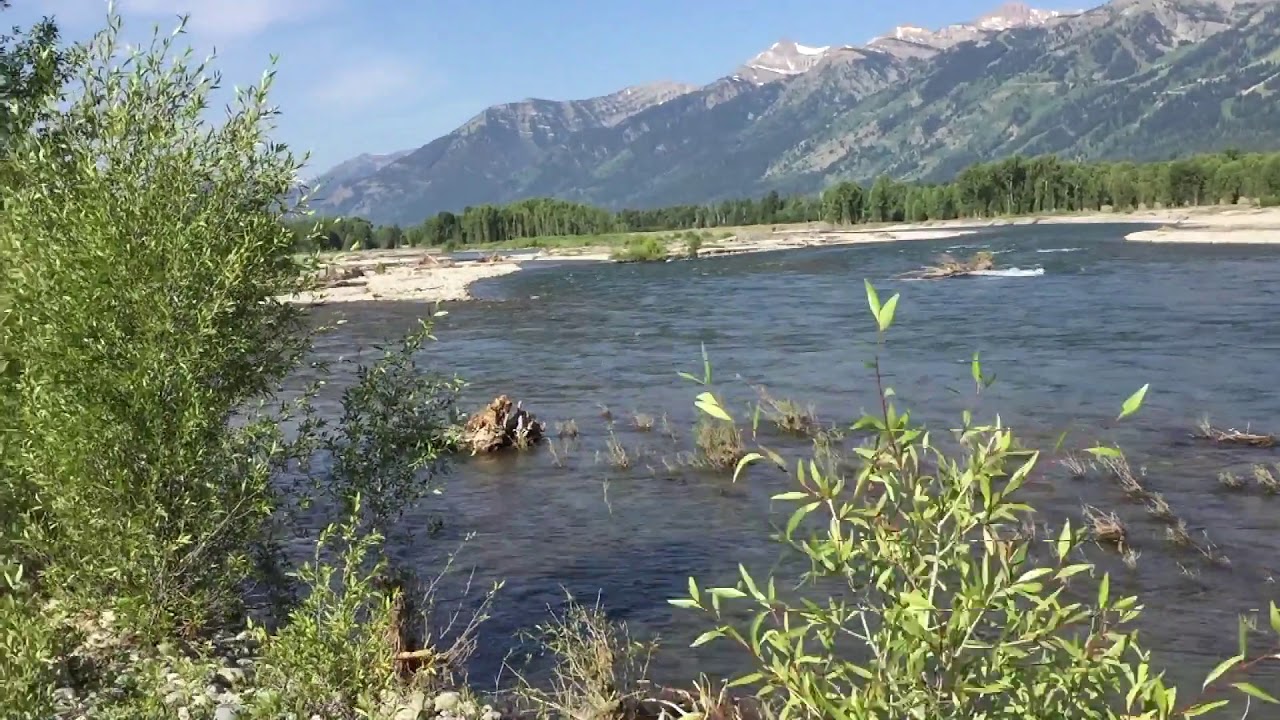 Jackson Hole Horse Rescue Snake River 72218 YouTube