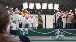 2nd Grade Flakes