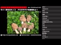 2016/04/15『モイ！野生のキノコ　アミガサタケを調理せよ！』