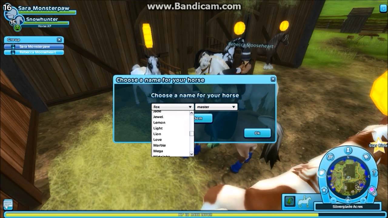 SSO Buying Paint Horse