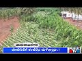 ರಾಜ್ಯದಲ್ಲಿ ಭಾರಿ ಮಳೆಗೆ ಬೆಳೆ ನಾಶ | Rain In Karnataka | Public TV