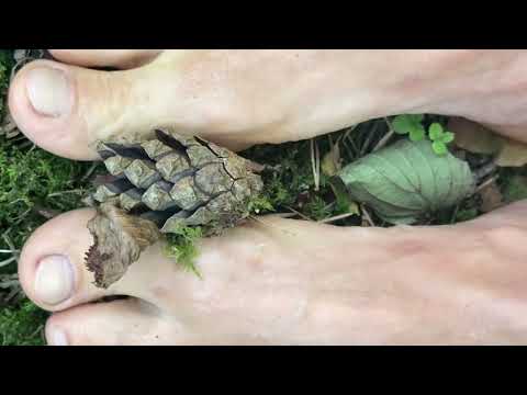 How to play with pine cones in the forest barefoot 🦶