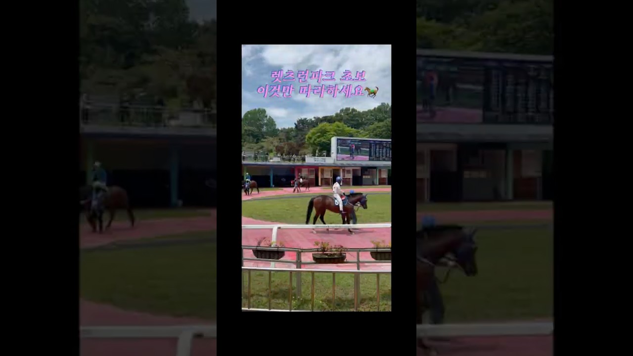 렛츠런파크(경마공원) 초보 튜토리얼🐴