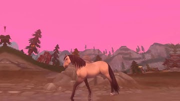 SSO MEP part 5/6 - Camer here for love