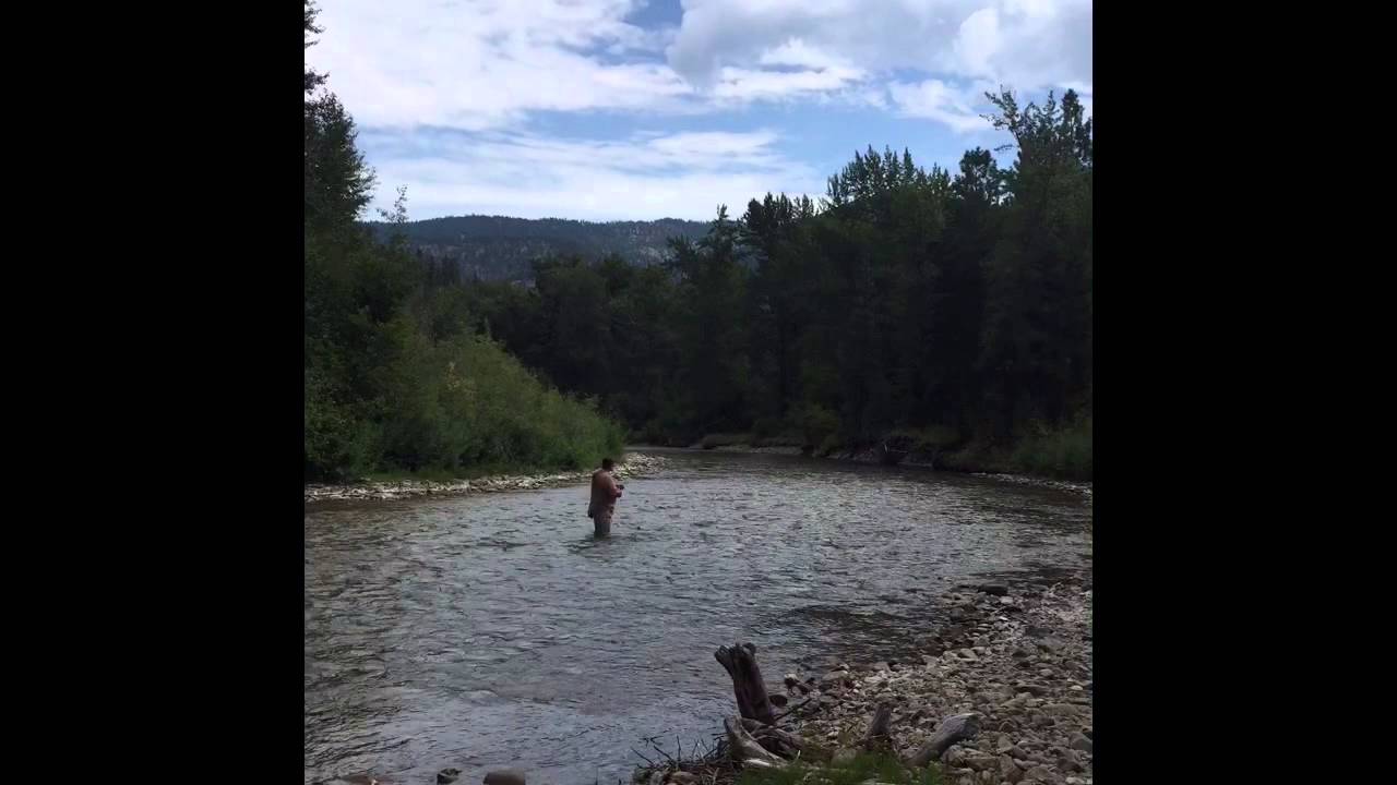 Fly Fishing, Fish Creek, Missoula, MT YouTube