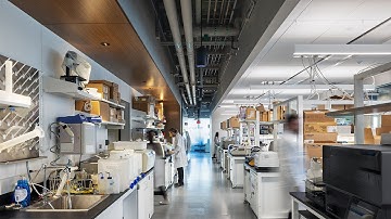 Future Labs: Lab Design Strategies Inspired by the Respiratory System