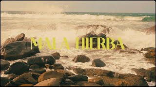 Video thumbnail of "Los Rumberos- Mala Hierba (Lyric video)"