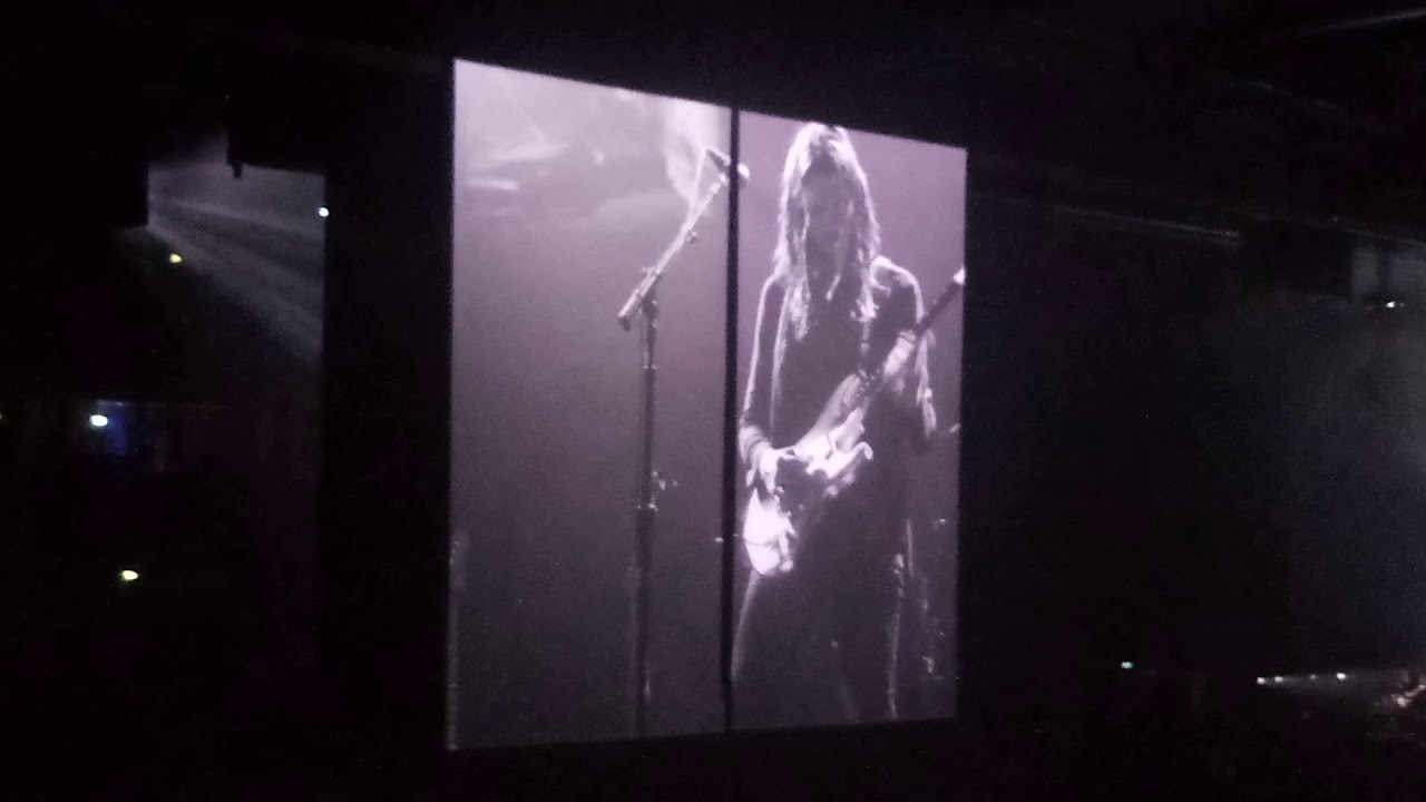 Roger Waters smell the roses YouTube