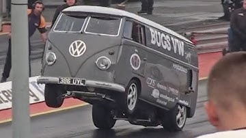BUGS VW Split Screen Panel Van Wheelie