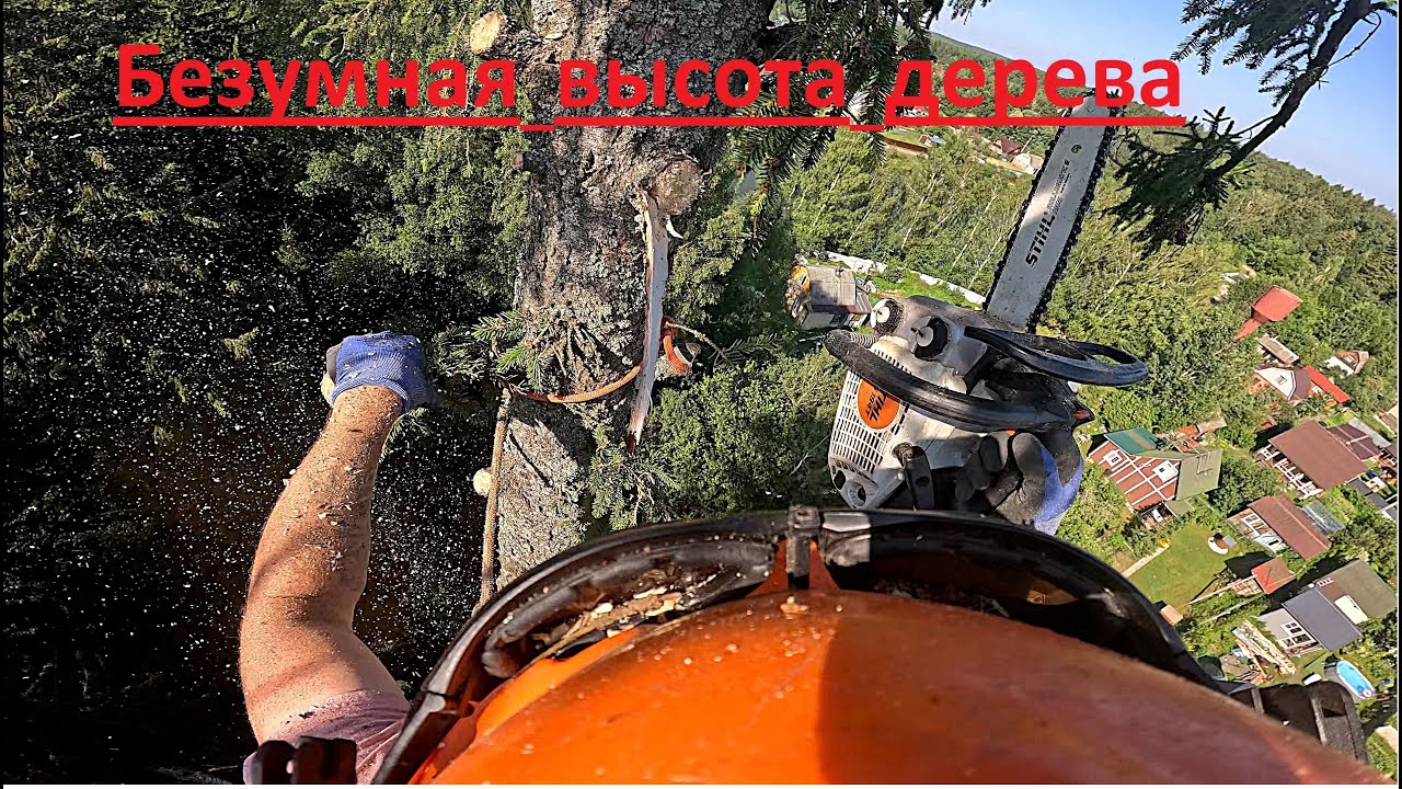 Удаление деревьев. Арбористика. ПромАльп. Ростов на Дону . Елки палки .