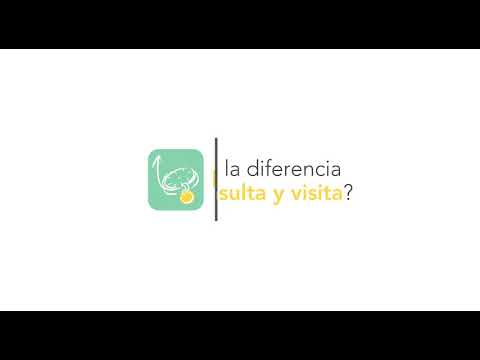 PetsMeApp - Tutorial: Video 15: cual es la diferencia entre consulta y visita