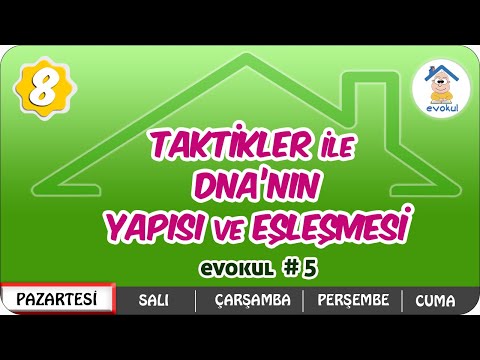 Taktikler ile DNA'nın Yapısı ve Eşlenmesi | 8.Sınıf #uzaktanegitim #evokul Kampı