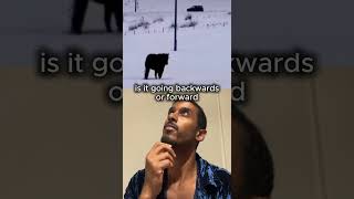 going forward or backwards?