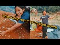 আজ আমি অনেক অনেক সরষে বস্তায় ভরলাম 😇