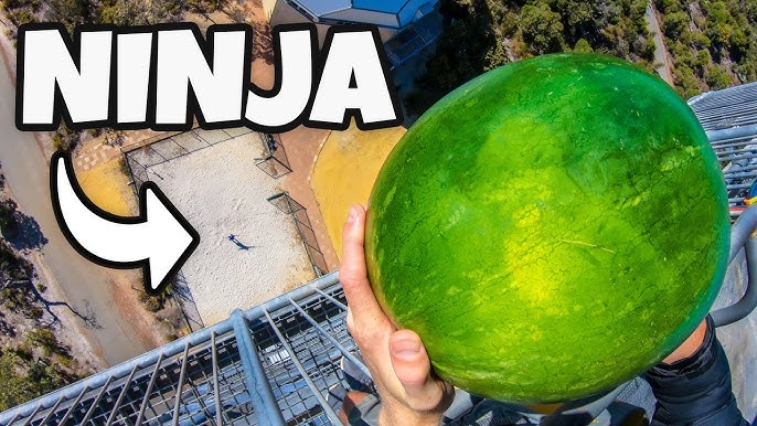 Watch this video of a man playing Fruit Ninja in real-life - Polygon