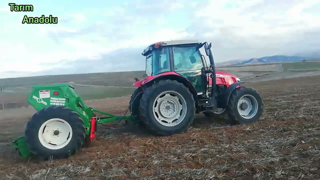 Kışlık Nohut Ekimi - Winter Chickpea Planting