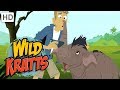 Wild Kratts - Asian Elephants (Season 5 Clip!) | Kids Videos
