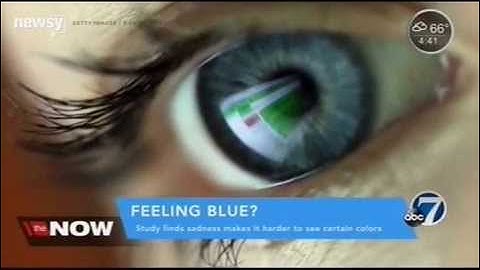 RIT on TV: RIT Color Science on KMGH