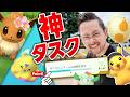 神イベント！神タスク！コス色違い祭り！？さあ全力でイーブイ！ミミロル！モンメン！ヒラヒナ！トゲピー達ぉおお！ピカチュウ1匹限定！？【ポケモンGO】