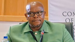 Head Of Hawks Senona Says Hes Scared To Mention Someone By The In Madlanga Commission 