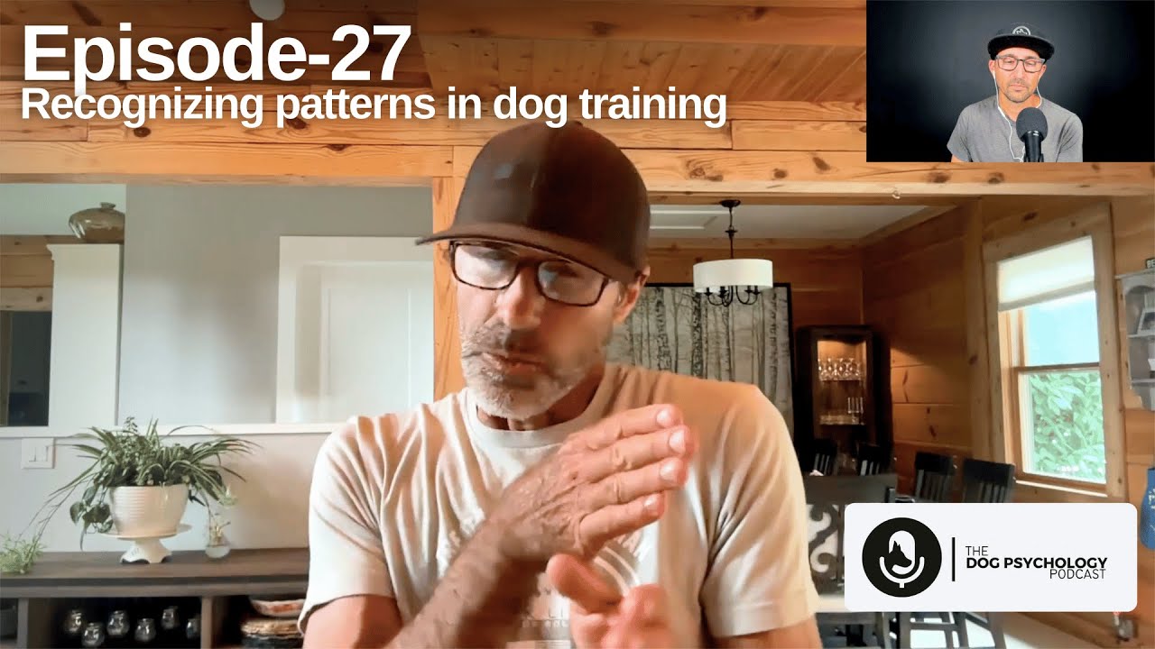 Dog Recognizing Pattern The Dog Psychology Podcast episode #027 Recognizing Patterns in Dog ...